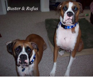 Buster & Rufus book cover