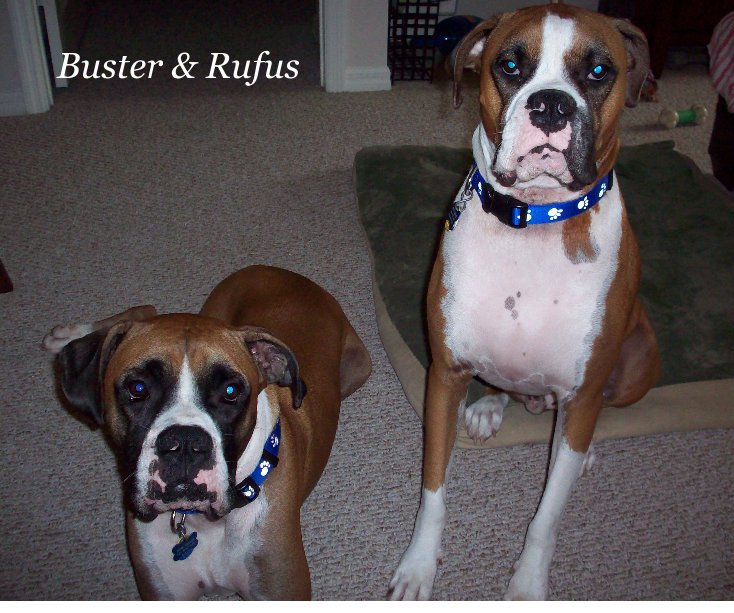 Bekijk Buster & Rufus op Sam & Mickie Lombardo