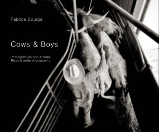 Cows & Boys book cover