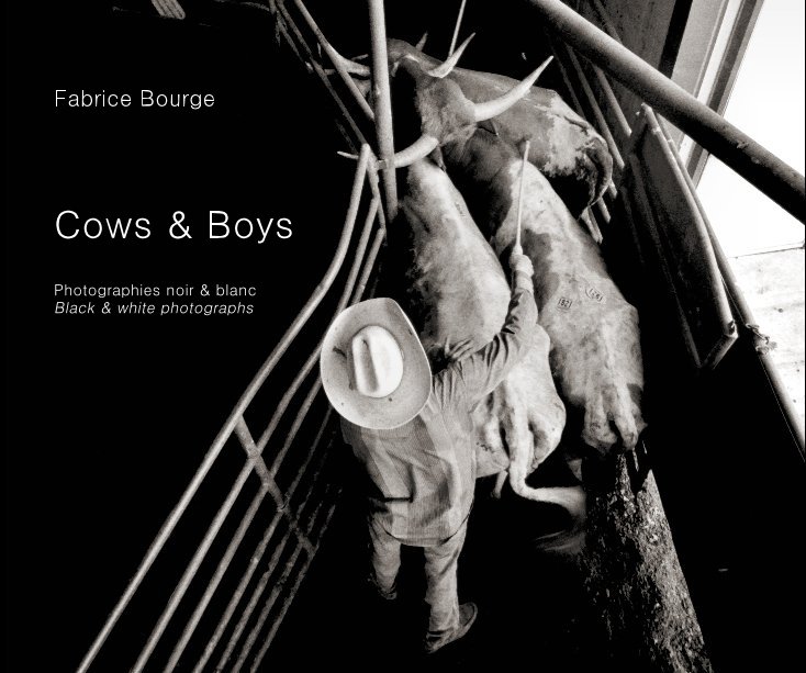 View Cows & Boys by Fabrice Bourge
