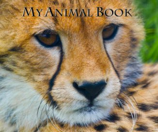 My Animal Book book cover
