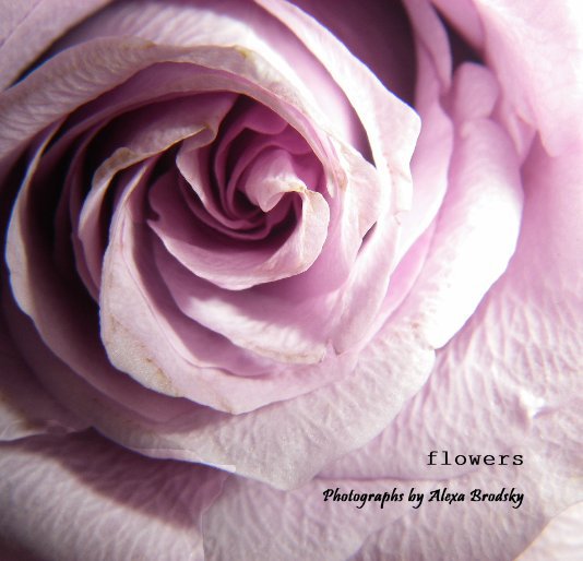View flowers by Photographs by Alexa Brodsky