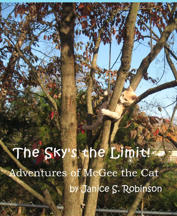 The Sky's the Limit! nach Janice S. Robinson anzeigen