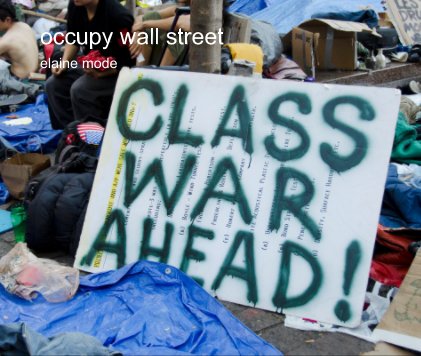 occupy wall street book cover