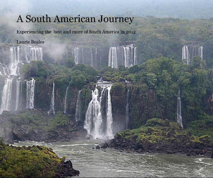 View A South American Journey by Laurie Beales