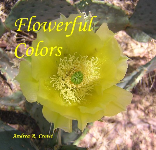 Ver Flowerful Colors por Andrea R. Crotti