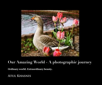 Our Amazing World - A photographic journey book cover