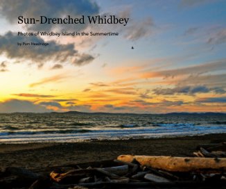 Sun-Drenched Whidbey book cover