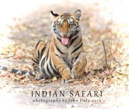 Indian Safari book cover