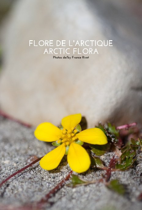 Bekijk FLORE DE L'ARCTIQUE / ARCTIC FLORA (pages lignées / lined pages) op FranceRivet