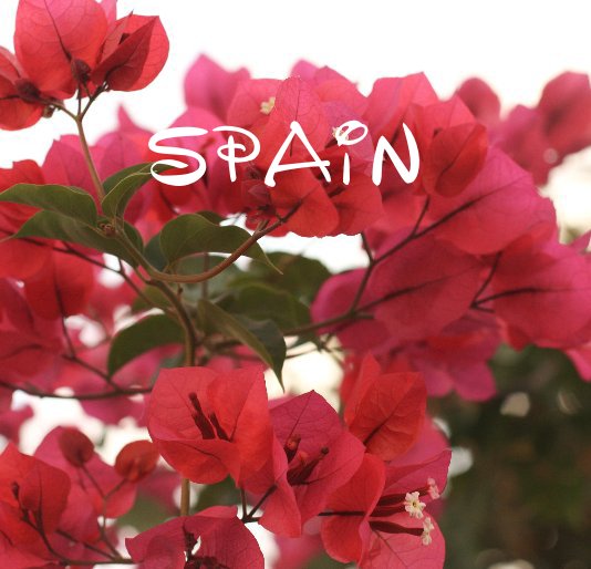 Visualizza SPAIN di Jullise