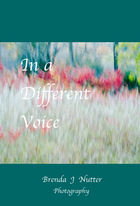 View In a Different Voice by Brenda J Nutter Photography