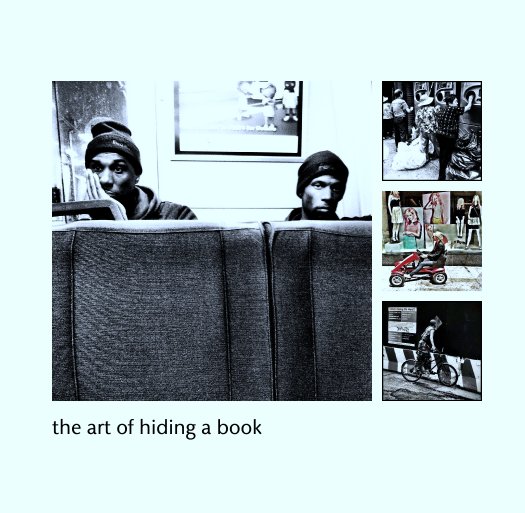 Ver the art of hiding a book por storkman3