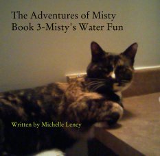 The Adventures of Misty-Book 3 book cover