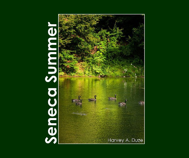 View Seneca Summer by Harvey A Duze