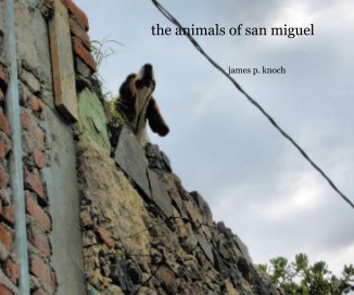 the animals of san miguel book cover