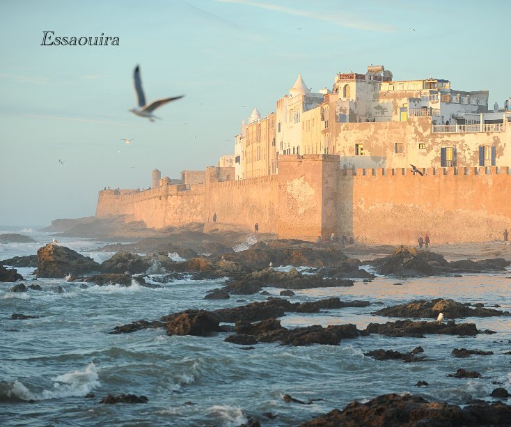 View Essaouira by Didier Roy