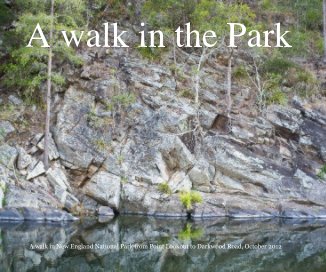 A walk in the Park book cover