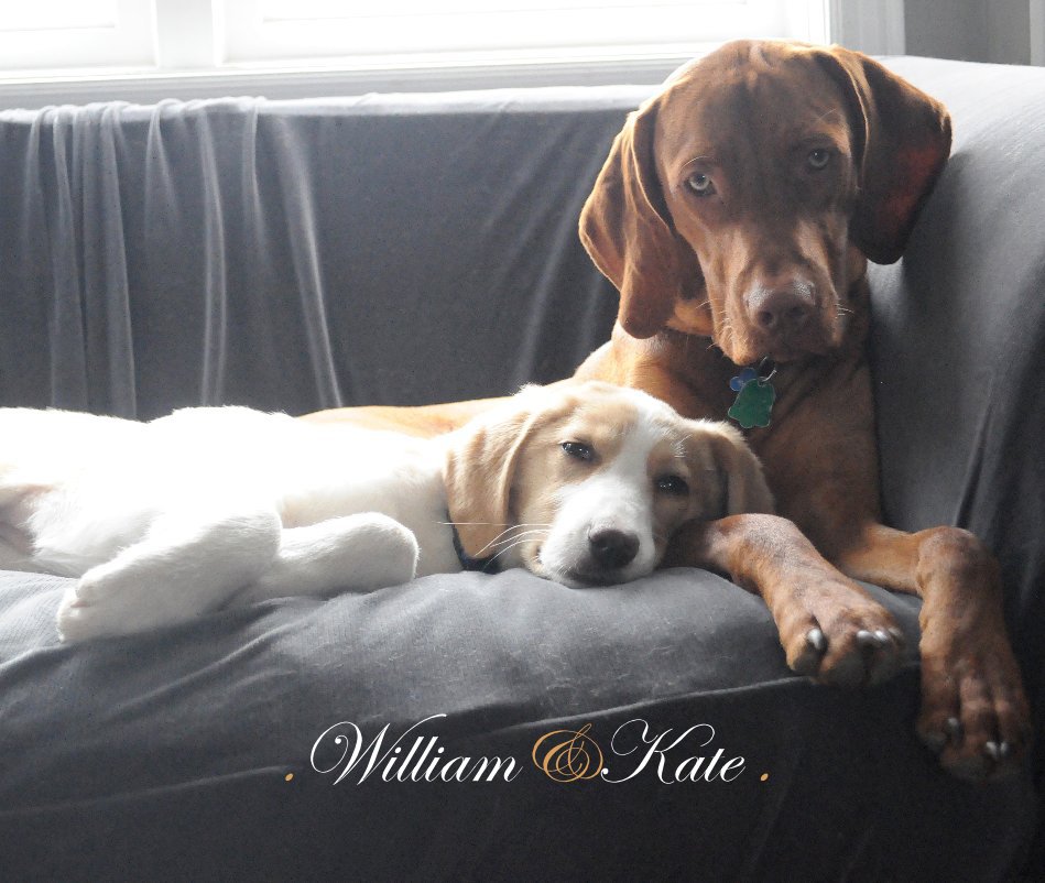 View William&Kate by Karen Johnston