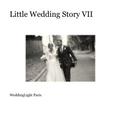 Little Wedding Story VII book cover
