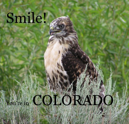 View Smile! You're in COLORADO by Barbara Lynette