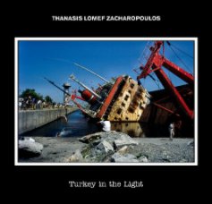 2.Turkey in the Light book cover