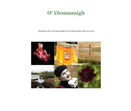 O' Diomasaigh book cover