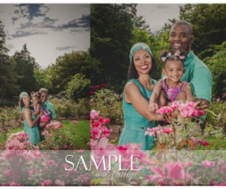 The Sample Family book cover