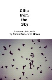 Gifts from the Sky book cover