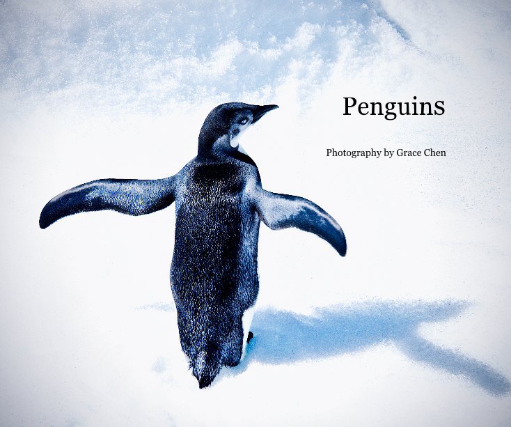 View Penguins by Photography by Grace Chen