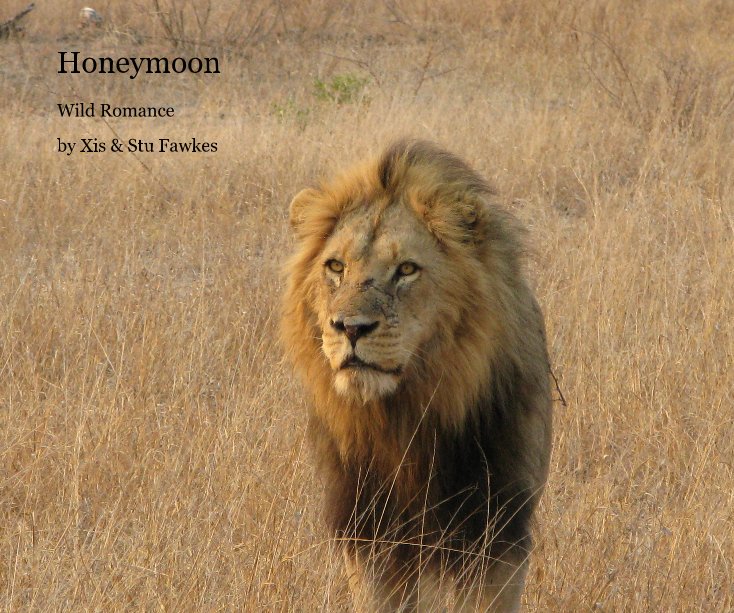 Ver Honeymoon por Xis and Stu Fawkes