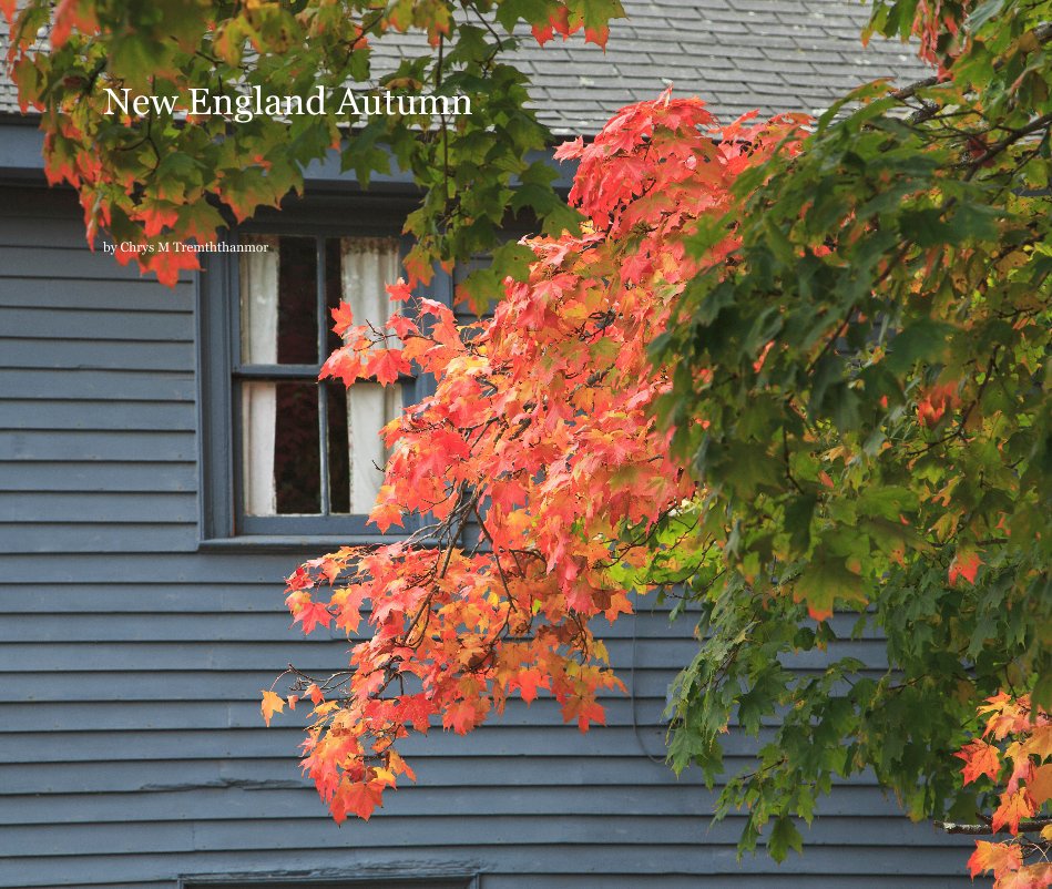 View New England Autumn by Chrys M Tremththanmor