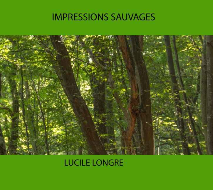 Bekijk Impressions sauvages op Lucile Longre