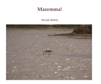 Maremma! book cover