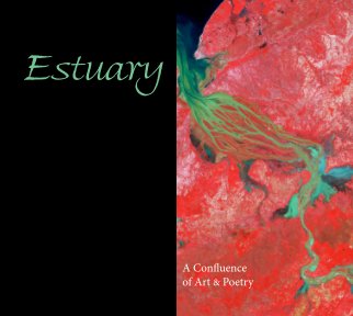 Estuary book cover