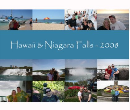 Hawaii & Niagara Falls 2008 book cover