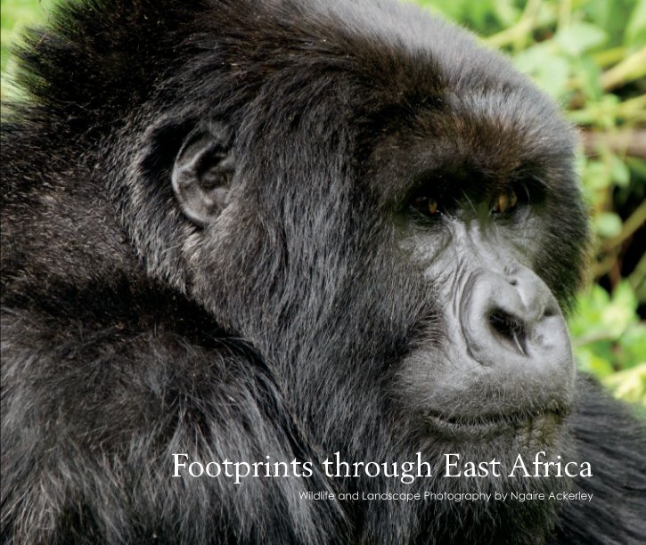 View Footprints through East Africa by Ngaire Ackerley