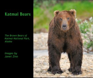 Katmai Bears book cover