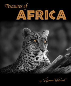 Treasures of Africa book cover