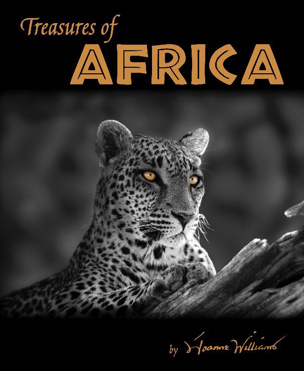 View Treasures of Africa by Joanne Williams