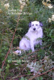 Alainn Dog At Rainbow Bridge book cover