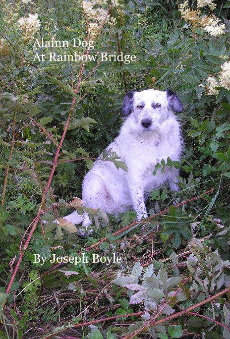 Bekijk Alainn Dog At Rainbow Bridge op Joseph Boyle