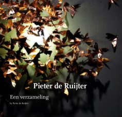 Pieter de Ruijter book cover