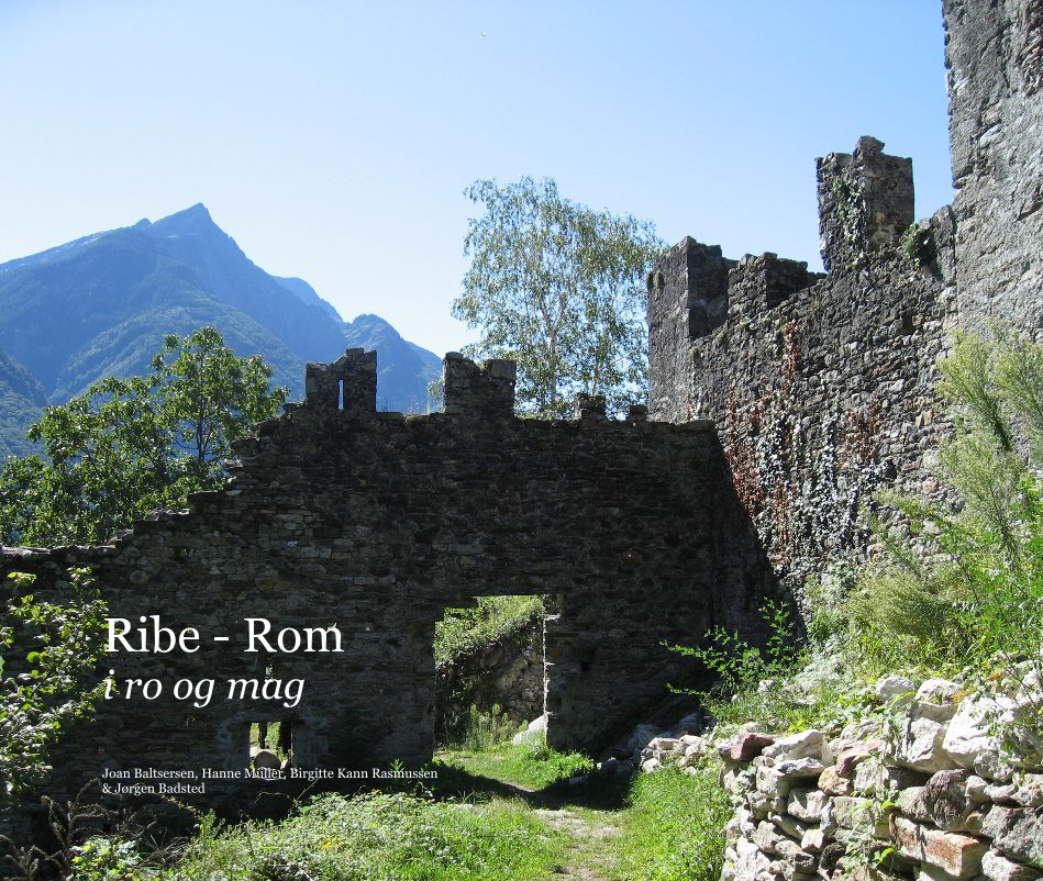 View Ribe - Rom i ro og mag by Joan Baltsersen, Hanne MÃ¼ller, Birgitte Kann Rasmussen & JÃ¸rgen Badsted