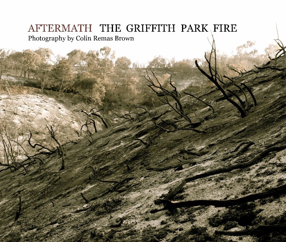 View AFTERMATH THE GRIFFITH PARK FIRE Photography by Colin Remas Brown by hersheyb