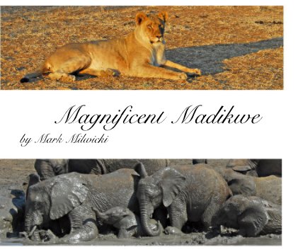Magnificent Madikwe book cover