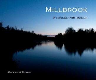 Millbrook book cover