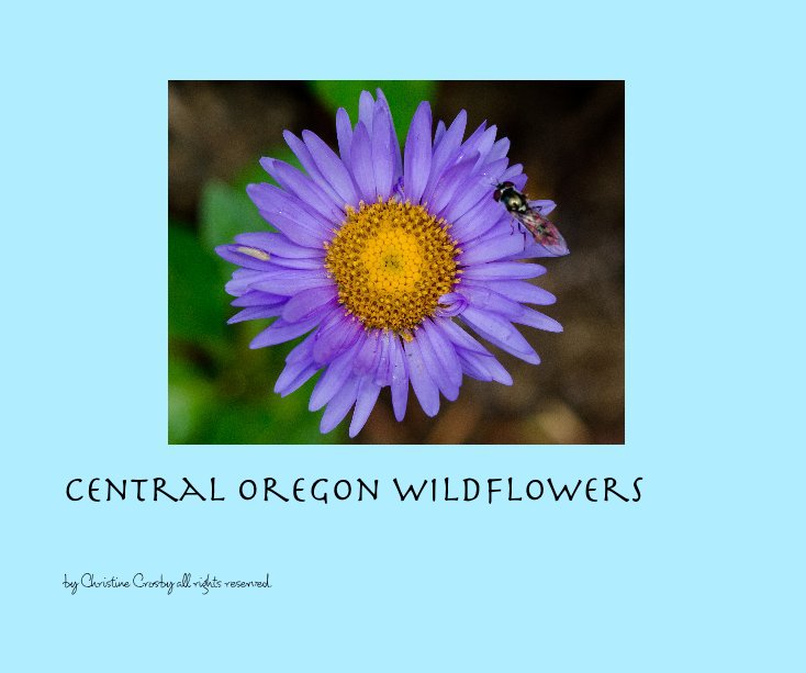Ver Central Oregon Wildflowers por Christine Crosby all rights reserved
