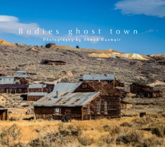 Bodies ghost town book cover