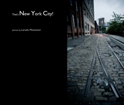 That's New York City! book cover